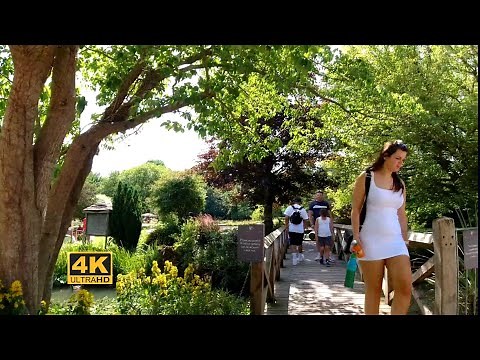 [4K] 🇬🇧 Bibury Trout Farm Walk