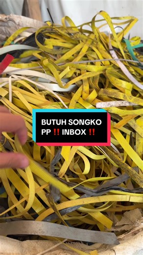 Butuh Tali Songko PP di Jabar: Hubungi Kami!