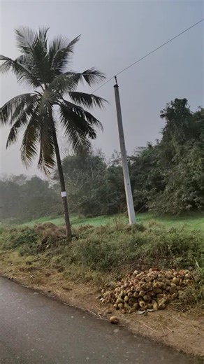Beautiful Village Vibes of Kakinada