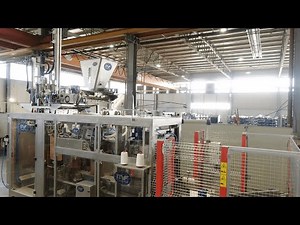 Complete Packaging System for Milk Powder
