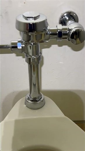 INSTALL NEW FLUSH VALVE - Stockton