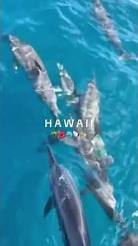 Hawaii in Seconds: Stunning Paradise 🌺 | 4K Short Travel content #HawaiiTravel #MicroContent