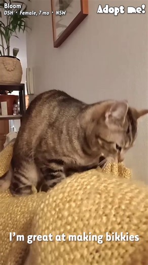 339K views · 10K reactions | Our girl Bloom is such a delight, we...