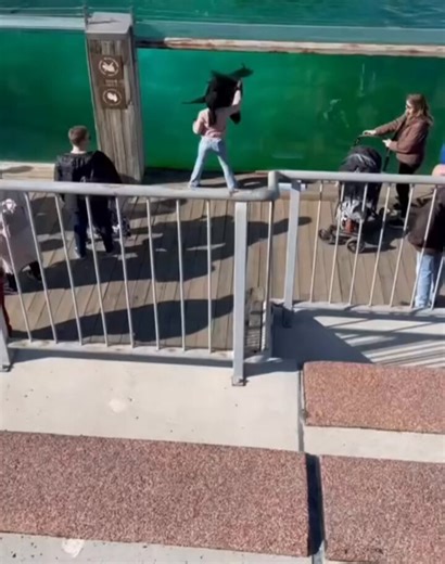 The way this single handedly demonstrates the history of white jealousy, domination and destruction. Observe someone with a gift, decide they want to take it, interfere without consent, and when ignored or not given what they want decide to attempt to steal it from you.