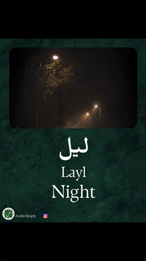 Learn Arabic the easy way 🇸🇦✨ Master Arabic step by step with simple words, real-life examples, and short daily lessons. Perfect for beginners who want to speak Arabic fast and with confidence! 🚀 👇 Want a FREE Arabic Roadmap to start today? Comment Roadmap and I’ll send it to you instantly! 📩 #dailyarabic #arabicwords #learnarabic #arabiclanguage #arabicforbeginners