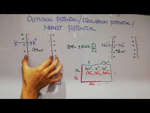 Guyton chapter 5 | Membrane potentials summary |Diffusion POTENTIAL | Nernst potential | Lecture 28