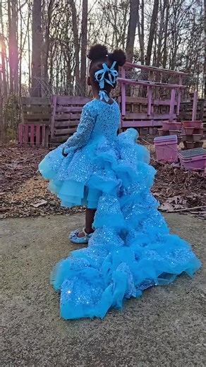 Farm Princess Birthday Celebration Ideas