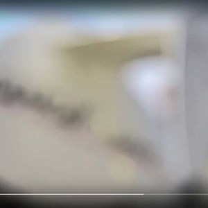 2.7K views · 30 reactions | Great video showing off CamCat System's...