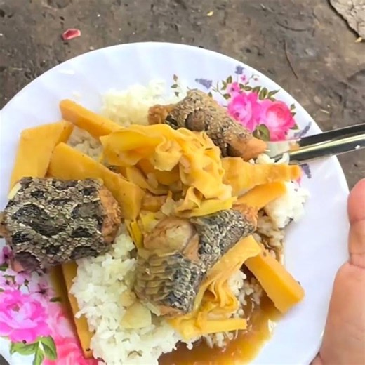 Very delicious snake soup.