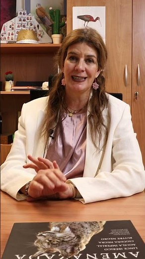 Testimonio de Amaya Unzueta, Gerente de Comunicación y Sociedad en Grupo Tragsa.