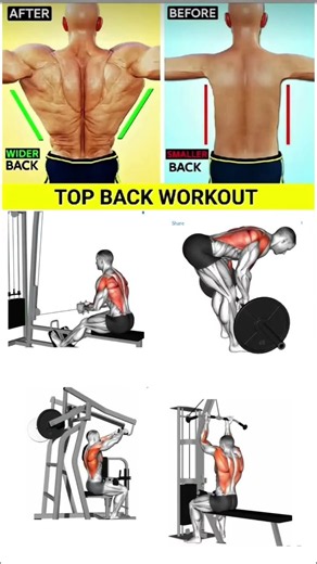 Back workout at gym | Back workout with dumbbells | back workout at home #homeworkout #gymworkout