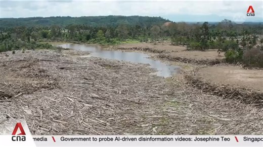 Permit revocations follow Sumatra disaster, yet forest exploitation continues