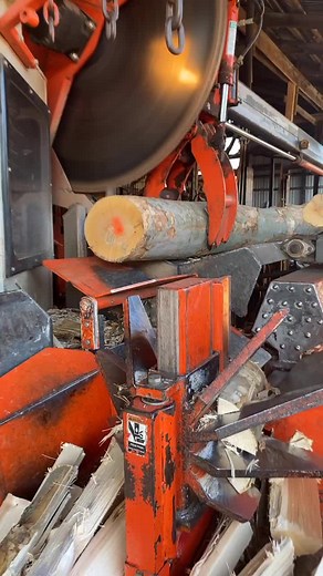 Logging Machine in Action: Efficient Wood Processing