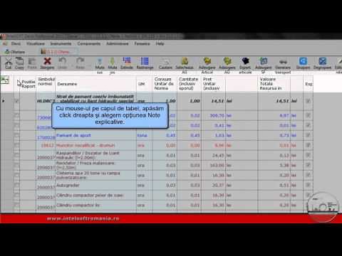 Deviz Profesional 2011 - Note explicative