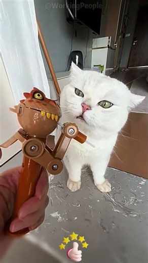 DIY Fun Pet Toys from Repurposed Items 🛠️🐕