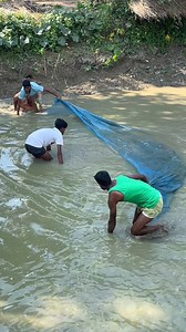 Asian traditional net fishing video by village people | MR Fishing Life
