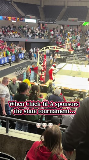 This was fantastic! #chickfila #cow #basketball #westvirginia