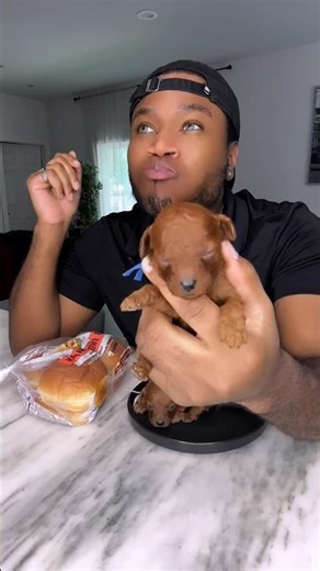 Excuse ME#funny #memes#excuseme #🙀💩🙈🙊🙊👻#shorts #funny