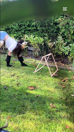 Short clip of a high jump! #therian #cat #animal #forest #nature #furry #theriancomunity #plants