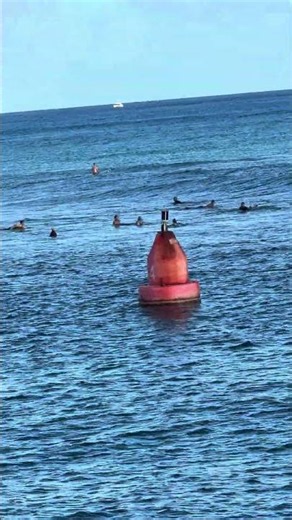 Surfers 🏄‍♀️ in Hawaii (Ala Moana and Waikīkī areas)