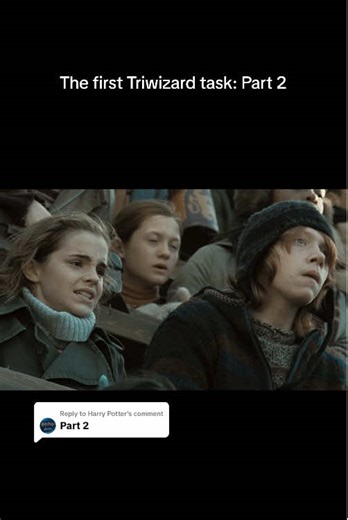 Why You Shouldn't Put Your Name in the Goblet of Fire