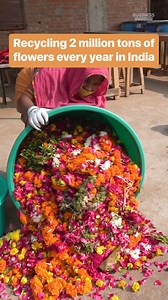 In #India, flower #recycling is on the rise and has the potential to reduce environmental impact. #sustainability | Insider Science
