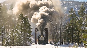 Durango & Silverton 481 workin' hard at Teft Bridge in a snowy Colorado landscape. 481 is a 2-8-2 Mikado type steam locomotive, part of the K-36 class. The engine was built in 1925 by Baldwin Locomotive Works and was the last coal burner on the Durango & Silverton Narrow Gauge Railroad. Durango & Silverton Narrow Gauge Railroad #ddpdsngrr #durangotrain | Dak Dillon Photography