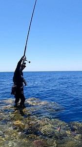 3M views · 56K reactions | Explosive Strikes & Drag-Screaming Action! #fishing #pescara #sea #naturelovers #sealife #nature #naturephotography #pescaria #sealovers | Mohssine Fishing | Facebook