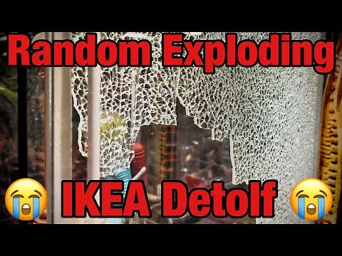 IKEA Detolf Randomly Explodes And Shatters Broken Glass Everywhere In The Collection Room 🤬