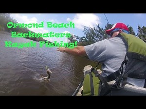 Ormond Beach Backwaters Kayak Fishing