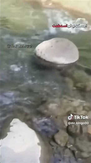 ١٠ سبتمبر، ٢٠٢٦
