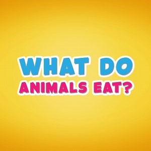 What do animals eat: Play What do animals eat online for free now.