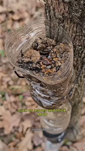 What Happens When You Filter Muddy Water?