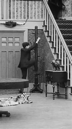 : #CharlieChaplin #TheLittleTramp #SilentFilmLegend #VintageHollywood #ClassicCinema #BlackAndWhite Era #ChaplinVibes #TributeToChaplin #IconicLook #RetroStyle #ChaplinLook #ChaplinCostume #VintageCosplay #FancyDressIcon #OldHollywoodStyle #LittleChaplin #MiniChaplin #ChaplinJunior [31/05, 8:35 am] Naeem Ahmed: 1. #fyp 2. #foryou 3. #foryoupage 4. #viral 5. #trending 6. #tiktok 7. #duet 8. #tiktokchallenge 9. #funnyvideos 10. #dancechallenge 11. #music 12. #relatable 13. #comedy 14. #lifehacks 1