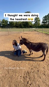 423K views · 4.7K reactions | Well, I guess I was wrong #reels #fbreels #onehappyassfarm #farmlife #donkey #animals | One Happy Ass Farm | Facebook