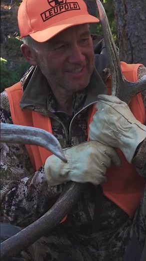 Stop GUESSING and Learn How Elk Actually Use the Landscape