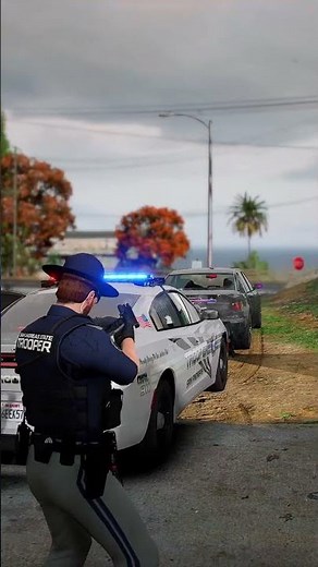 Traffic Stop Gone Wrong