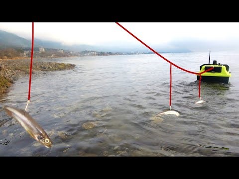 ラジコンボートでワカサギを琵琶湖に投入すると…