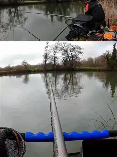 Chub on the Pole Feeder The pole feeder is the king of winter river tactics. #chub #hugechub #polefeeder #polefishing #winterfishing #fishing #riverthames #riverfishing #anglinguk #fishinglife