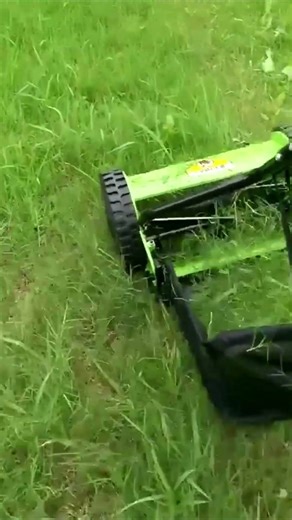 Perfect Garden Borders and Sharp Lawn Edging Transformation 🌿 | #grasscutting #lawncare