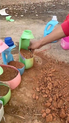 Recycle Detergent Bottles into Creative Plant Pots 🌱♻️