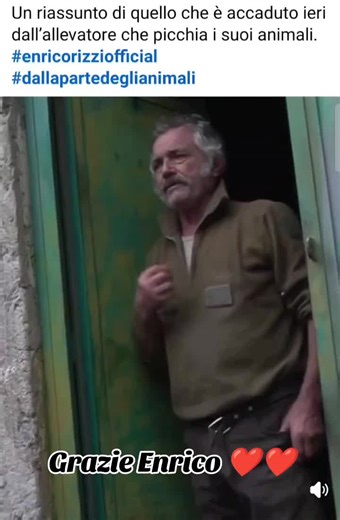 Raccolta di Esperienze con Enrico Rizzi