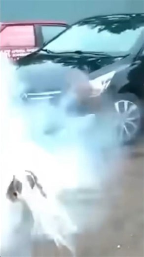 dog exploded meme test