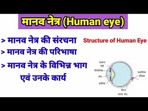 मानव नेत्र | मानव नेत्र की संरचना | manav netra ki sanrachna | Human eye | in Hindi