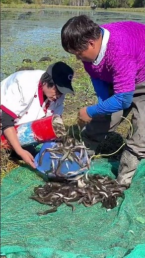 “Instant Fish Catch in Frozen Creek!”