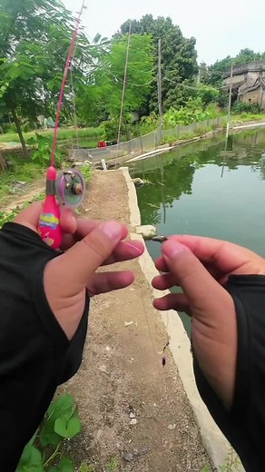Micro Fishing Adventures: Fun Techniques and Tips