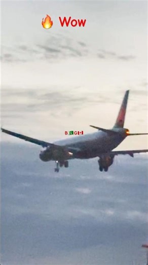 must watch plane arriving at YYZ Toronto Pearson airport #canada