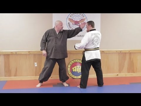 How to Do a Whip Punch Step-by-Step : Hapkido & Taekwondo Techniques