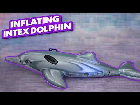 Bringing the Grey Dolphin to Life 🐬✨ Inflation Time!