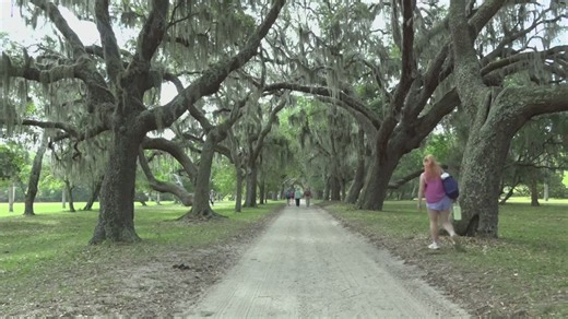 Camden County commissioners decline to back funding for Cumberland Island land exchange